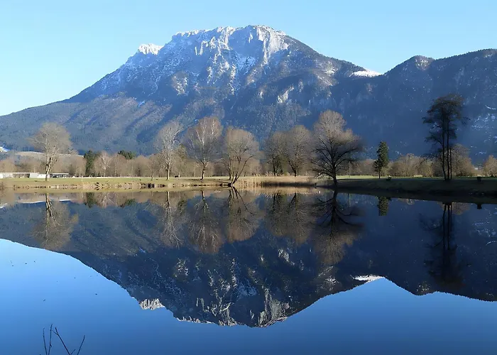 Daire Alpenblick